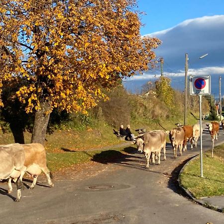 Apartmán Im-Oberland - Tal - Bad Kohlgrub Exteriér fotografie