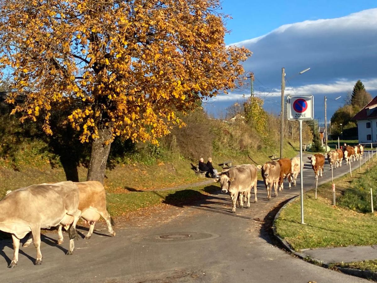 Apartmán Im-Oberland - Tal - Bad Kohlgrub Exteriér fotografie