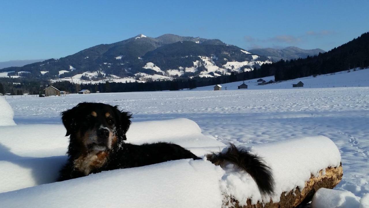 Apartmán Im-Oberland - Tal - Bad Kohlgrub Exteriér fotografie