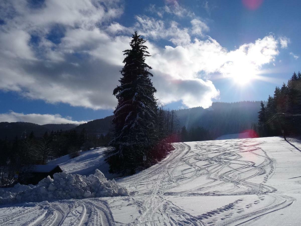 Apartmán Im-Oberland - Tal - Bad Kohlgrub Exteriér fotografie