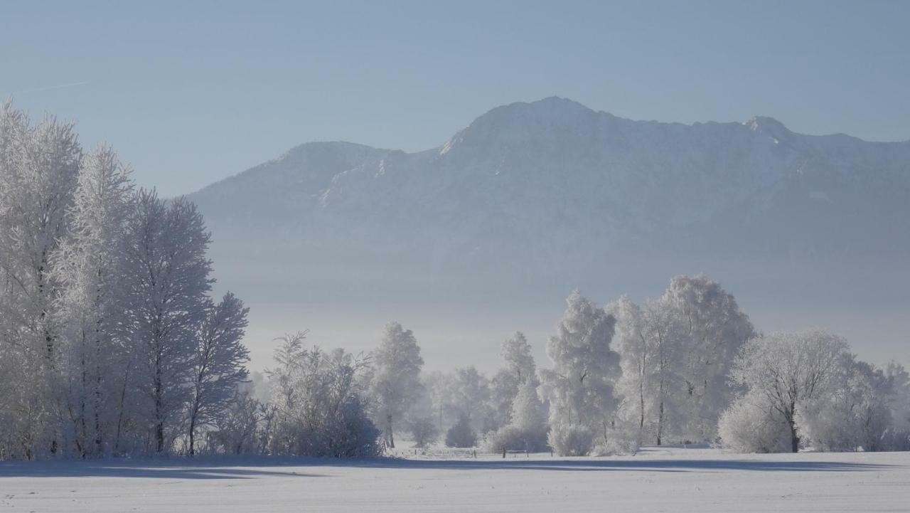 Apartmán Im-Oberland - Tal - Bad Kohlgrub Exteriér fotografie
