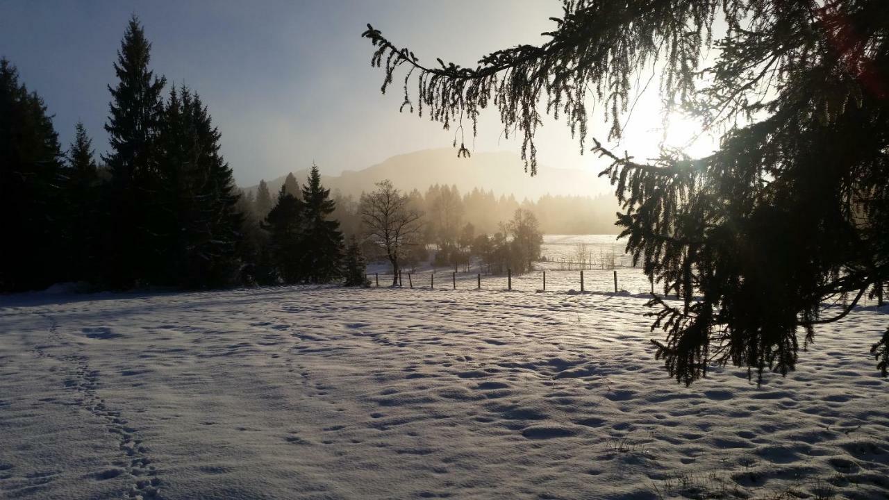 Apartmán Im-Oberland - Tal - Bad Kohlgrub Exteriér fotografie
